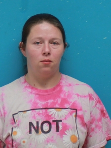 Mugshot of CHAMBERS, LISA