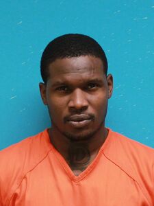 Mugshot of JOHNSON, DOMINIQUE