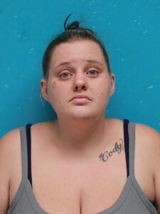 Mugshot of NOWAKOWSKI, ALEXIS