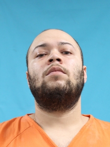 Mugshot of BIRD, ADRIAN