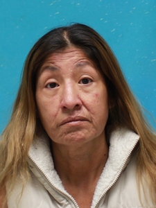 Mugshot of STEVENS, SHELLEY  