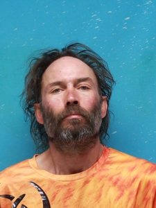Mugshot of DAVIS, ESTES