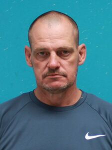 Mugshot of DEES, ROBERT