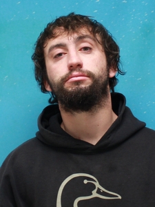 Mugshot of PETTIT, LEVI