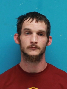 Mugshot of OZMENT, JAMIE