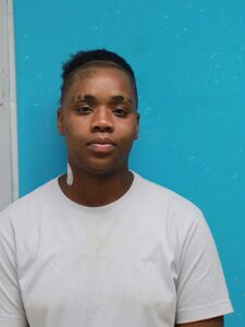 Mugshot of SMITH, VICTORIA