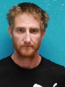 Mugshot of COLLINS, DILLEN