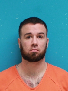Mugshot of BROWN, RYAN