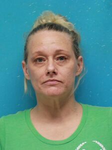 Mugshot of HUTSON, ERICA