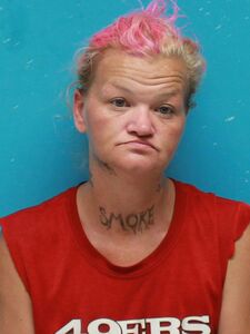 Mugshot of DODD, AMY