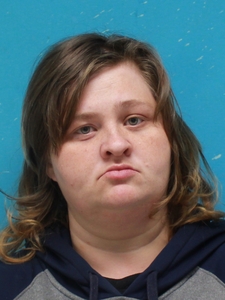 Mugshot of ROLDAN, TAYLOR  
