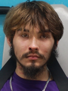 Mugshot of PENA, DYLAN