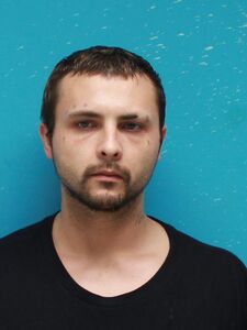 Mugshot of HOLLAND, TRAY