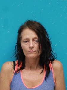 Mugshot of RAINES, DAWN
