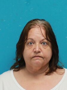 Mugshot of VANAMBURG, BRANDI