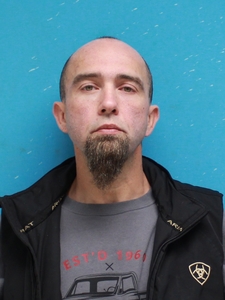 Mugshot of JORDAN, LOUIS