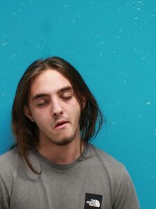 Mugshot of FOWLKES, KAYDEN