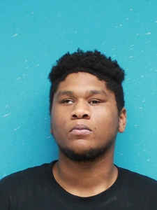 Mugshot of ROBERSON, VICTOR