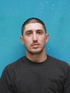 Mugshot of BIEVENUE, MICHAEL