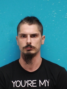 Mugshot of HOVIS, SHELBY