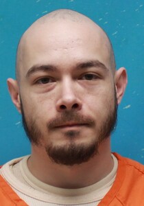Mugshot of BLOEBAUM, PATRICK  